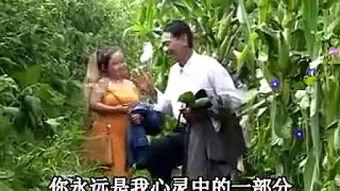 晚娘完整在线观看,复仇与救赎的悲情演绎 第3张 晚娘完整在线观看,复仇与救赎的悲情演绎 第3张