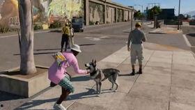 狗哥爆料新鞋视频大全下载,新鞋视频大全下载攻略